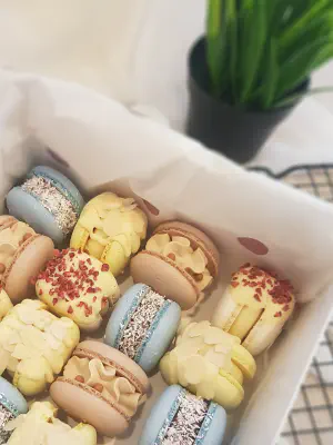 Что такое макаронсы?