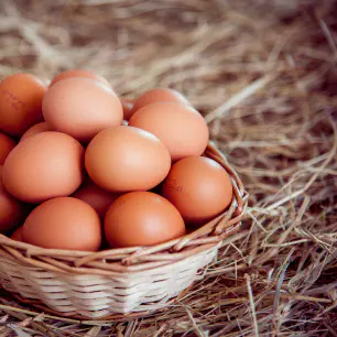 Яичные белки